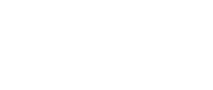 White Logo 2