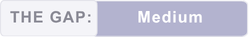 The Gap is Medium The Gap is Medium