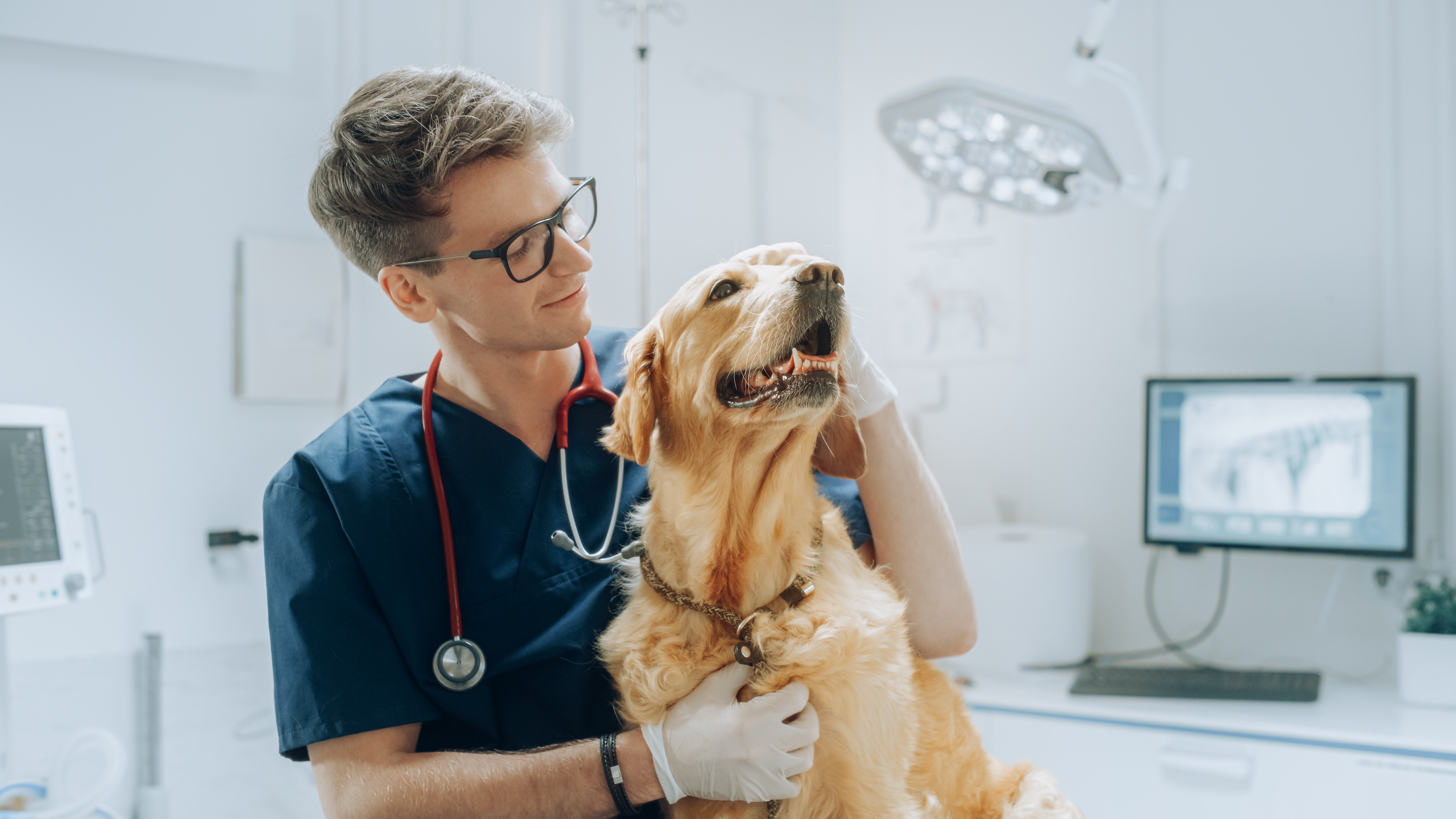 How Healthcare Marketers Can Use Verified Data to Engage Veterinarians with Precision